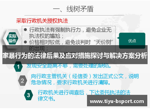 家暴行为的法律后果及应对措施探讨与解决方案分析