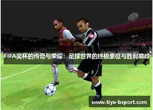 FIFA奖杯的传奇与荣耀：足球世界的终极象征与胜利巅峰