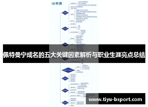 佩特曼宁成名的五大关键因素解析与职业生涯亮点总结