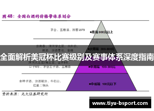 全面解析美冠杯比赛级别及赛事体系深度指南