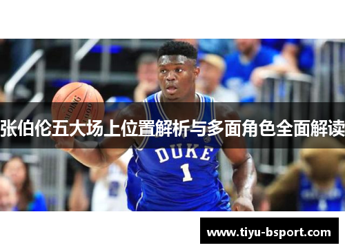 张伯伦五大场上位置解析与多面角色全面解读