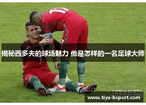 揭秘西多夫的球场魅力 他是怎样的一名足球大师