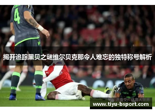 揭开追踪黑贝之谜维尔贝克那令人难忘的独特称号解析