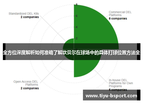 全方位深度解析如何准确了解坎贝尔在球场中的具体打球位置方法全